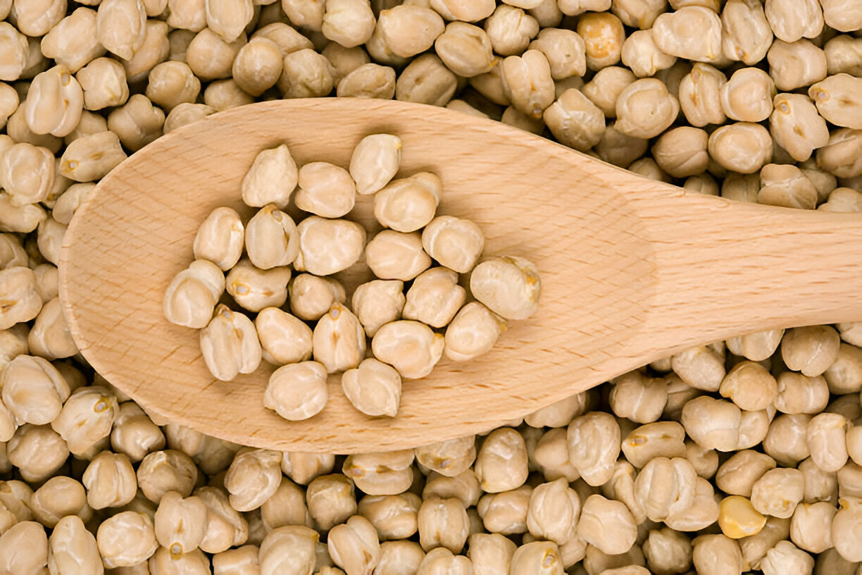 Chickpea 12