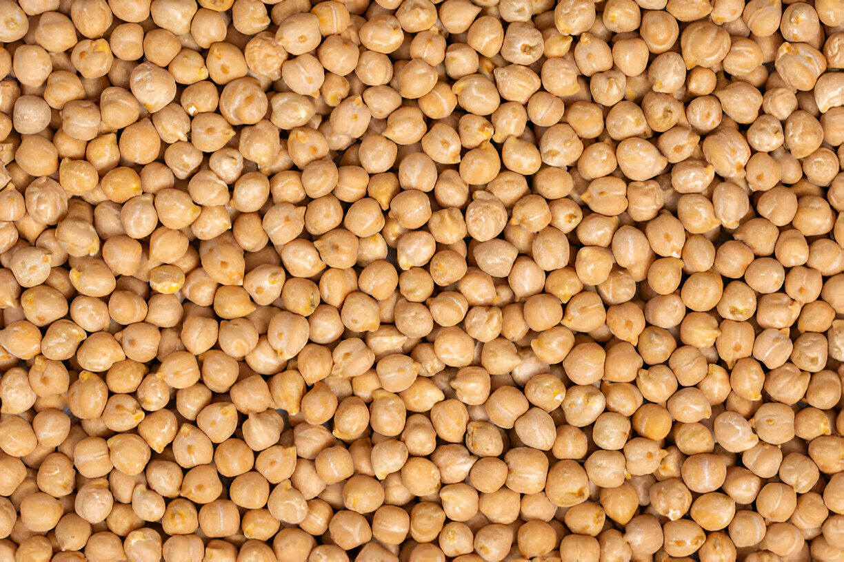 Chickpea 4