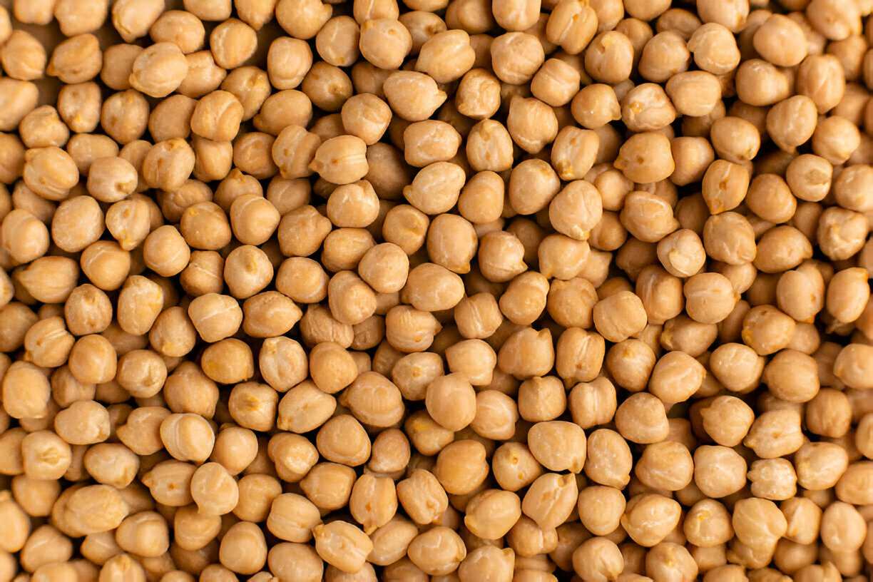 Chickpea 6