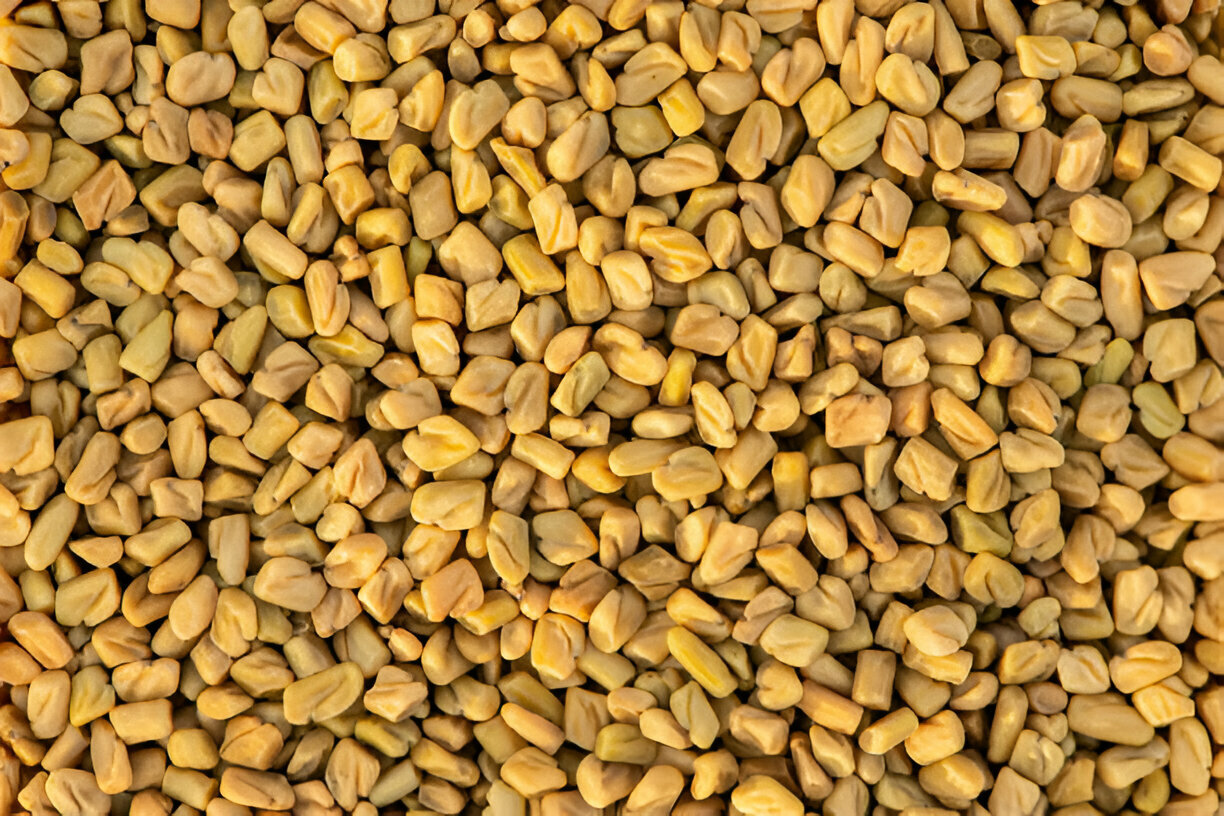 fenugreek 2