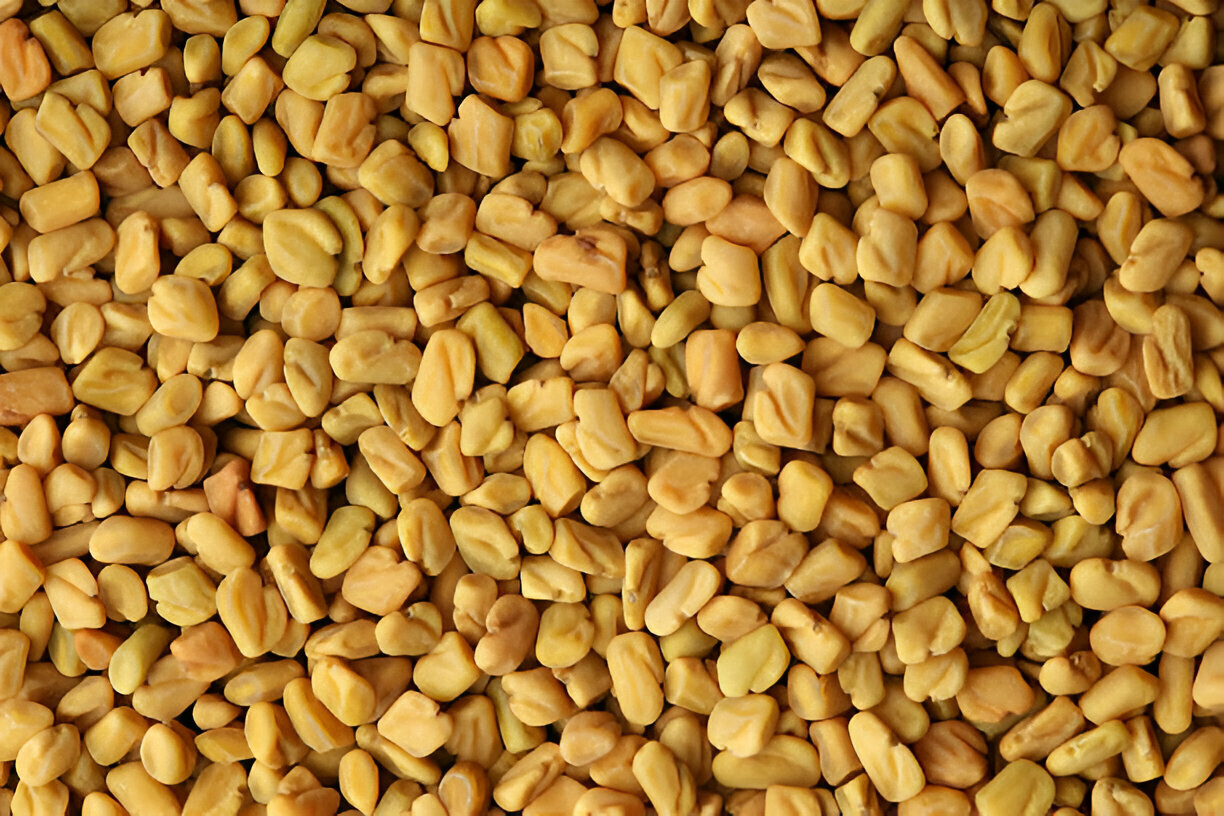 fenugreek