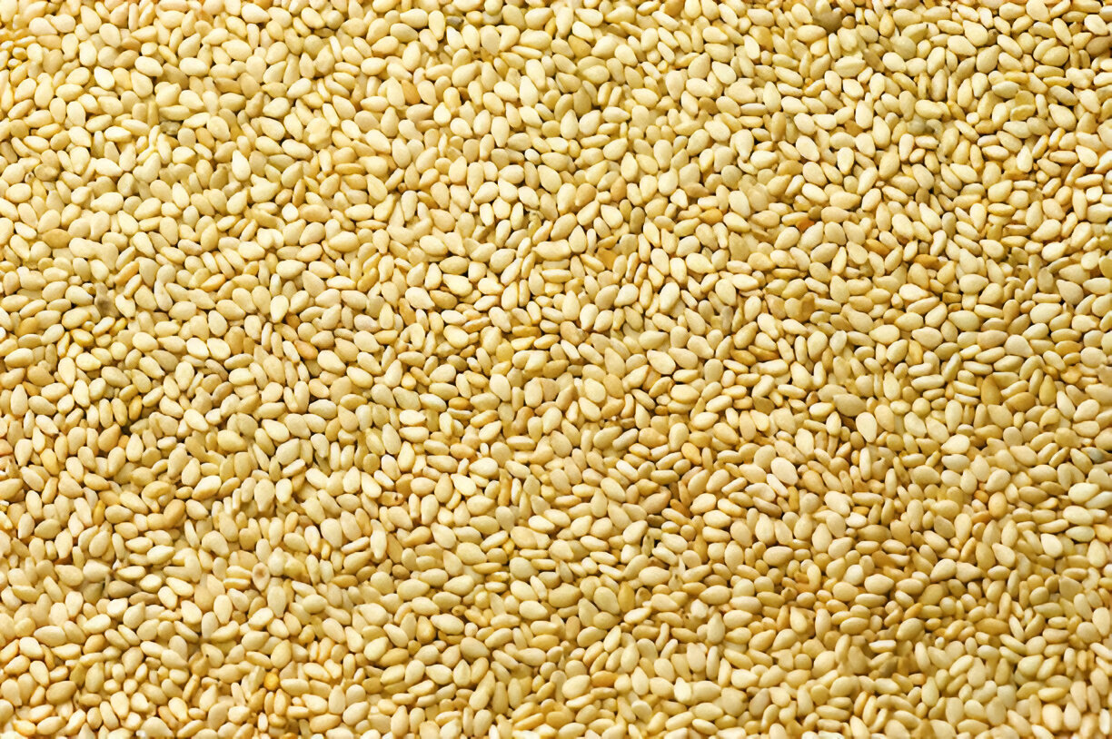 Sesame seeds 1