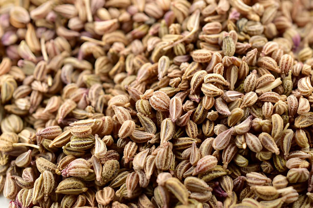 ajwain-6