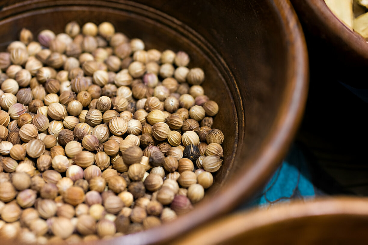 coriander seed 3