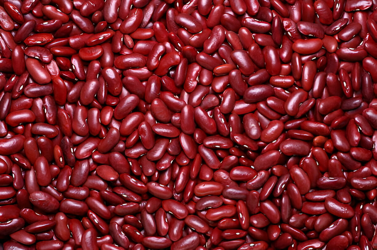 kidney beans 2